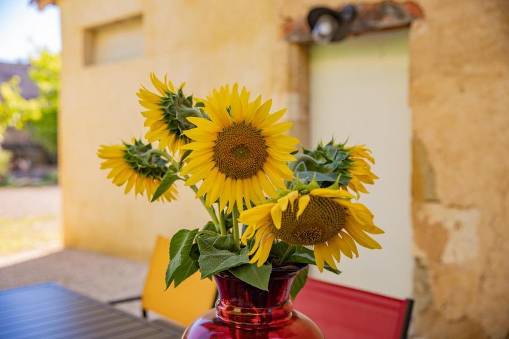 Domaine De Laplan Bed & Breakfast Cezan ภายนอก รูปภาพ